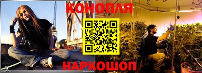 прущие грибы Конаково