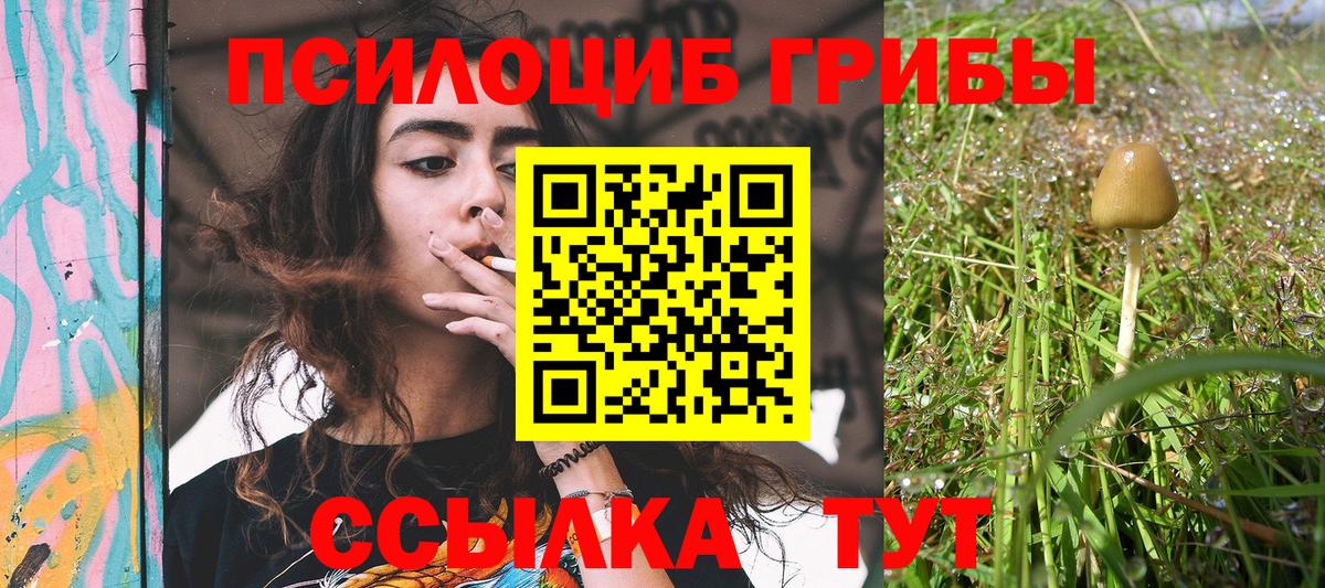 Псилоцибиновые грибы ЛСД  Галлюциногенные грибы ЛСД  Керчь  Вход с VPN 